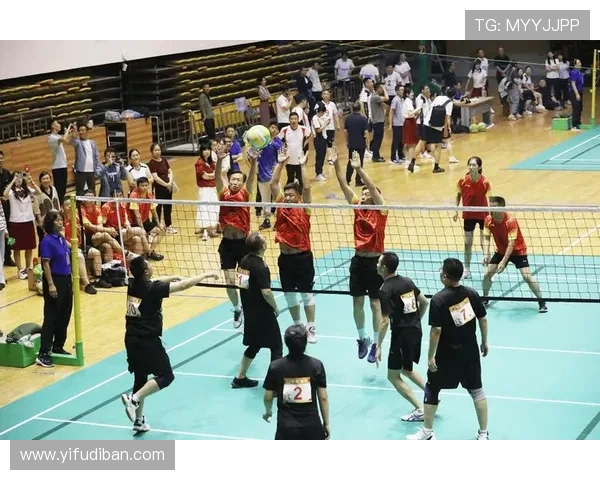 深圳排球队的耐力之道：揭秘排球运动背后的坚持与拼搏精神